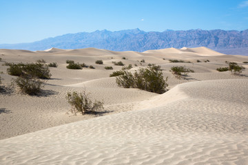 Fototapeta na wymiar Sanddünen im Death Valley