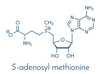 S-adenosyl methionine (SAM) molecule. Essential in several metabolic pathways. Often found in dietary supplements. Skeletal formula.
