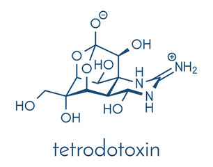 Tetrodotoxin (TTX) pufferfish neurotoxin molecule. Skeletal formula.