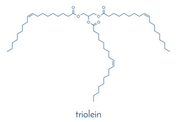 Olive oil triglyceride (glyceryl trioleate, triolein). Example of an olive oil triglyceride, containing 3 oleic acid moieties. Skeletal formula.