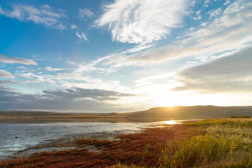 wild nature landscape with salt lake, green and red grass and cloudy blue sky at sunrise