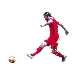 Fototapeta na wymiar Soccer player kicking ball, abstract polygonal vector illustration. Geometric European Football Player
