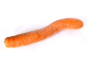 Carrot isolated on white