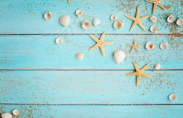 summer seashells on wooden background