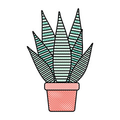 aloe plant in pot houseplant vector illustration design