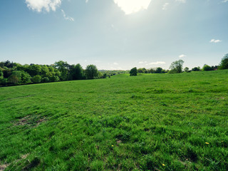 Spring forest park,Northern Ireland
