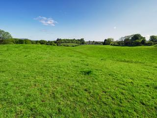 Obraz premium Spring forest park,Northern Ireland