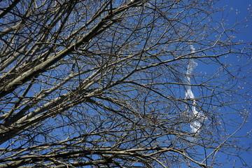 Nature and earth pollution. Tree covered with plastic.