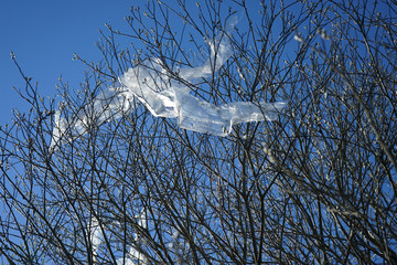 landscape with piece of plastic hanging on top of a tree.