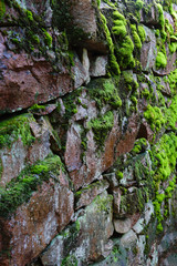 Old stone wall covered with green moss