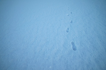 Snow texture with foot prints.