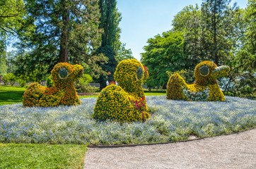 Mainau, Lake Constance. Flowerbed at Mainau island in Lake Constance,the Island of Flowers, Germany
