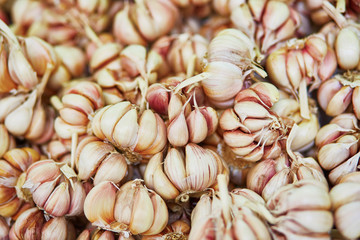 Heap of fresh garlic on a farmer market