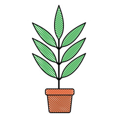 leafs plant in pot decorative icon vector illustration design