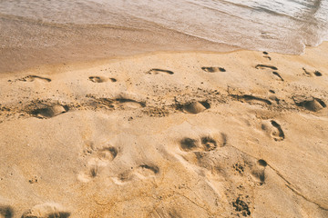 Footsteps on the sand by the sea.