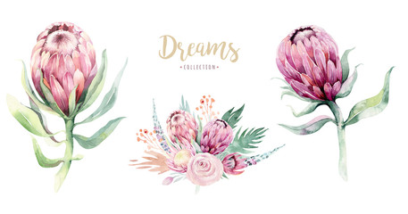 Handzeichnung isolierte Aquarell-Blumenillustration mit Protea-Rose, Blättern, Zweigen und Blumen. Böhmische goldene Kristallrahmen. Elemente für die Begrüßungshochzeitskarte. © kris_art