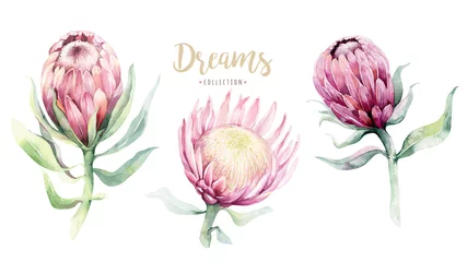 Handzeichnung isolierte Aquarell-Blumenillustration mit Protea-Rose, Blättern, Ästen und Blumen. Böhmische goldene Kristallrahmen. Elemente für die Begrüßungshochzeitskarte. © kris_art