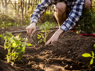 young caucasian man gardening close up portrait