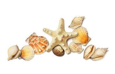 Sea shell and starfish composition isolated on white
