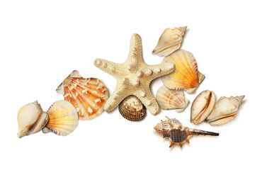 Obraz na płótnie Canvas Sea shell and starfish composition isolated on white 