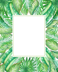 Watercolor frame with tropic plants and leaves isolated on white background.