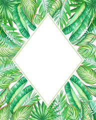Fototapeta na wymiar Watercolor frame with tropic plants and leaves isolated on white background.