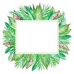 Watercolor frame with tropic plants and leaves isolated on white background.