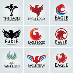 Eagle logo design template. Vector illustration
