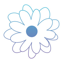 beautiful flower decorative icon vector illustration design