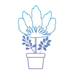 beautiful flower in pot houseplant vector illustration design