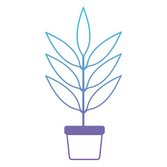 leafs plant in pot decorative icon vector illustration design