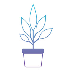 leafs plant in pot decorative icon vector illustration design