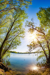 Lake with trees and bright sun on a hot summer day