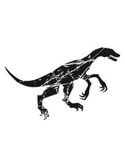 kratzer risse raptor jagen silhouette schwarz umriss t-rex fleischfresser böse gefährlich fressen dino dinosaurier saurier clipart comic cartoon design