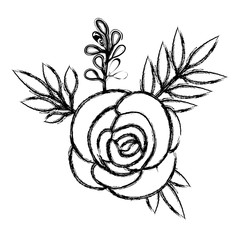 rose and leafs decorative icon vector illustration design