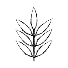 branch with leafs decorative icon vector illustration design