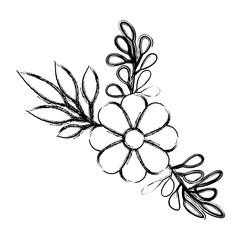 flower and leafs decorative icon vector illustration design