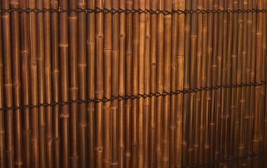 Bamboo fence in tropical backyard