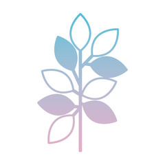 branch with leafs decorative icon vector illustration design