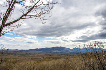 Obraz premium Mountain landscape in spring forest