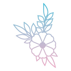 flower and leafs decorative icon vector illustration design