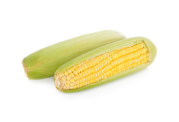 uncooked whole sweet corn with shell on white background
