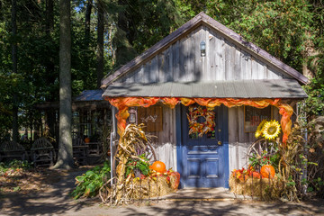 Country Cabin Decorated for Autumn