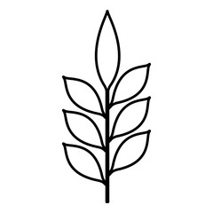 branch with leafs decorative icon vector illustration design