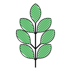 branch with leafs decorative icon vector illustration design