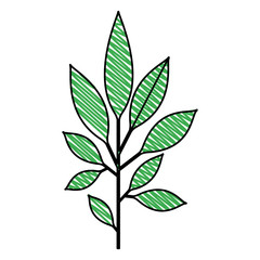 Fototapeta na wymiar branch with leafs decorative icon vector illustration design
