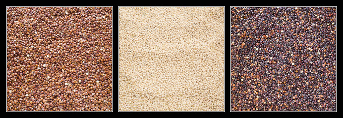 Fototapeta premium Seeds of white, red and black quinoa