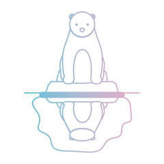 wild polar bear on iceberg vector illustration design