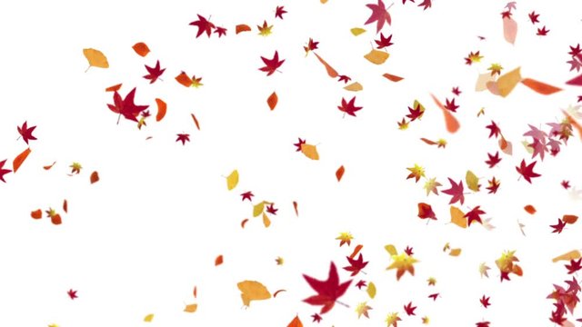 Autumn-Leaves-1-base