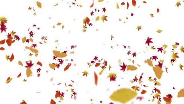 Autumn_Leaves_2